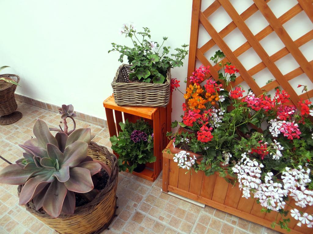 B&B Il Geranio Calimera (Lecce) Exterior foto